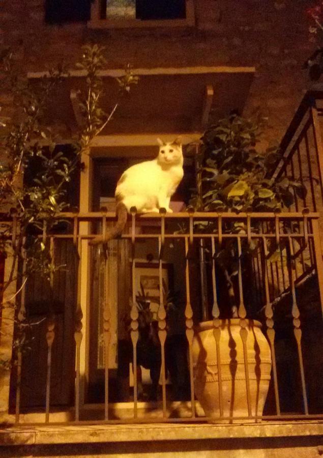 Beb Da Paolo Con Vista Lago San Zeno di Montagna Dış mekan fotoğraf